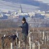 Beaujolais - nepoužívat, jednorázové svolení vlastníka