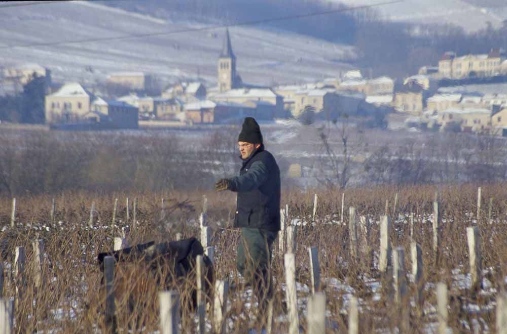 Beaujolais - nepoužívat, jednorázové svolení vlastníka