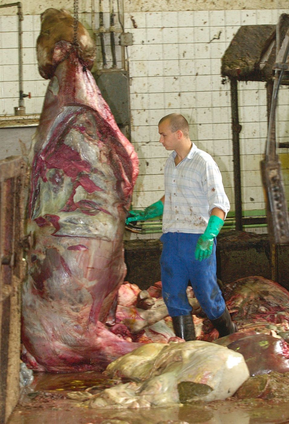 Pekelné profese. Tuhle práci dělají jen otrlí, práce, profese, náročné práce, fotogalerie, Magazín