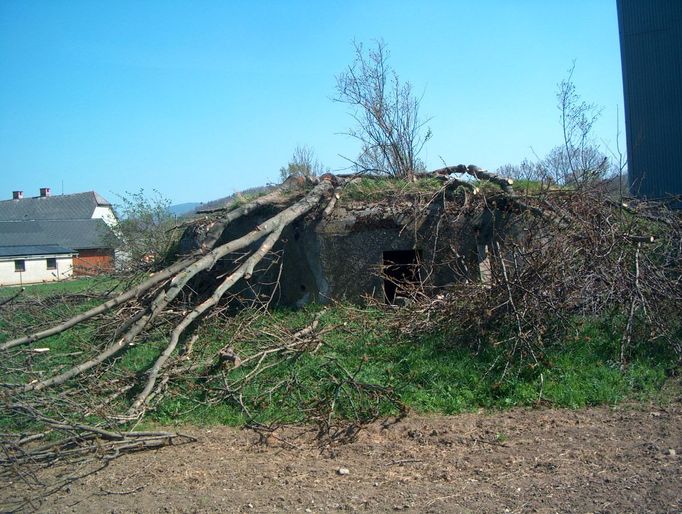 Řopík v Bělé pod Pradědem