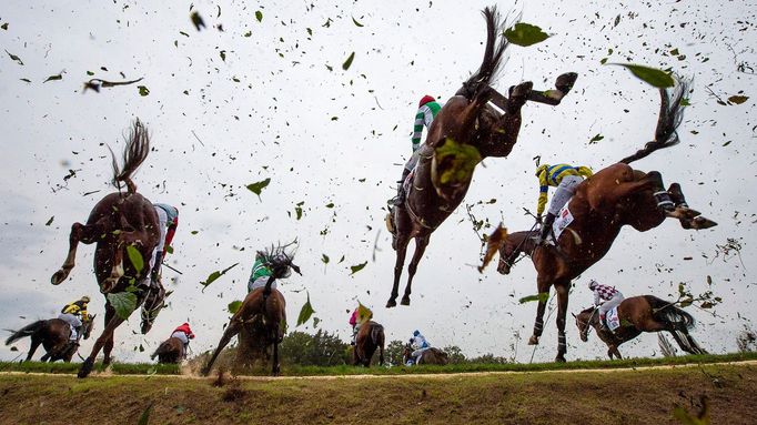 Koně překonávají nejtěžší překážku Taxisův příkop během 130. ročníku Velké pardubické steeplechase v Pardubicích, Česká republika, 11. října 2020.