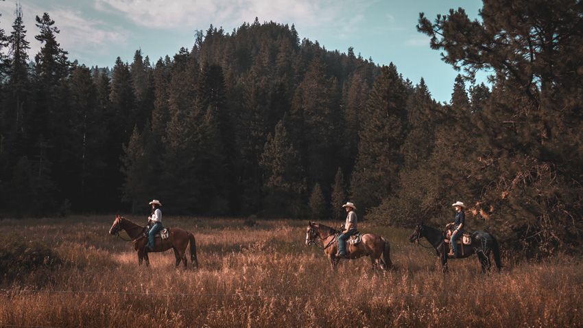 Sony World Photography Awards 2025