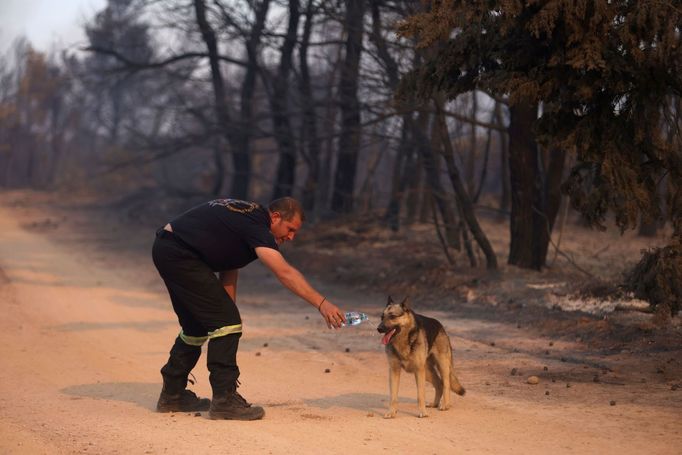 Lesní požáry severně od řeckých Atén.