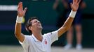 Novak Djokovič na Wimbledonu 2014