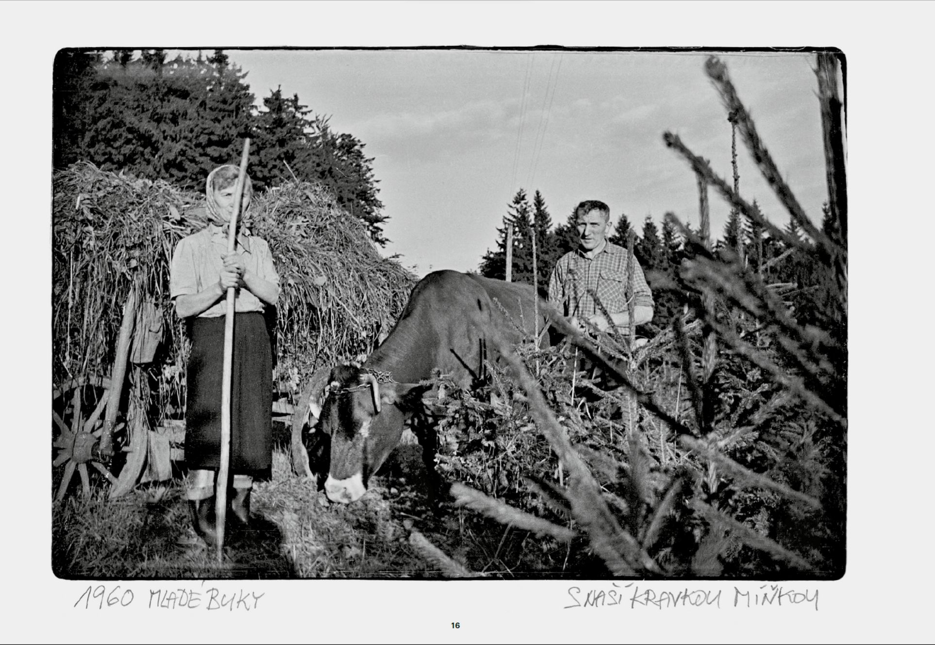Bohdan Holomíček, fotograf, kniha, Album 1958–1977, Foto, Magazín