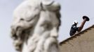 A member of the fire and rescue service sets a chimney on the roof of the Sistine Chapel at the Vatican March 9, 2013. REUTERS/Alessandro Bianchi (VATICAN - Tags: RELIGION) Published: Bře. 9, 2013, 10:20 dop.