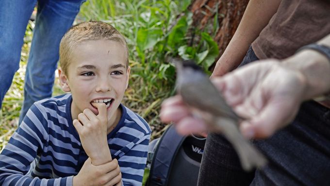Nadané děti zkoumaly ptáky a učily se fungovat v kolektivu. Okolí jim často nerozumí