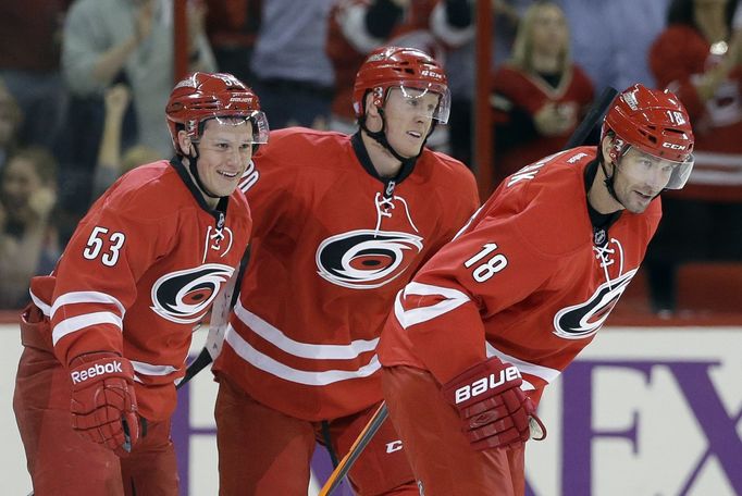 Radek Dvořák, Carolina Hurricanes