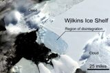 Stav odtrženého antarktického ledovce 6. března 2008