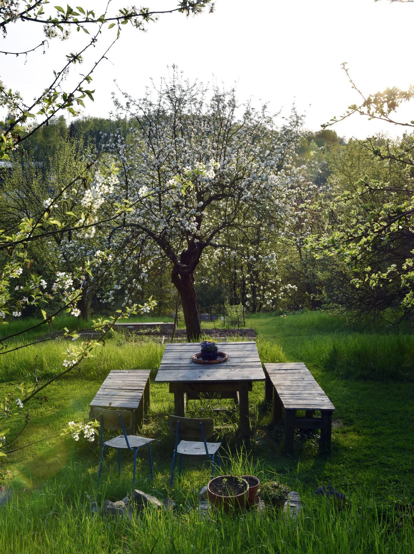 domeček na kopci, dům, rekonstrukce, zahrada, příběh