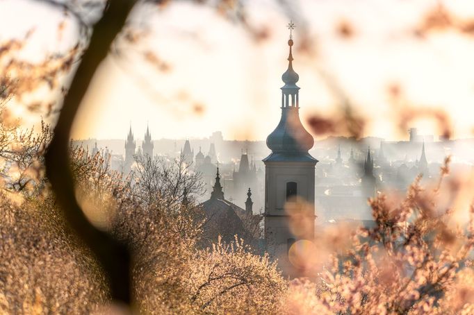 Krása jarní Prahy na fotografiích Richarda Horáka (vítěz soutěže Praha fotografická 2023)