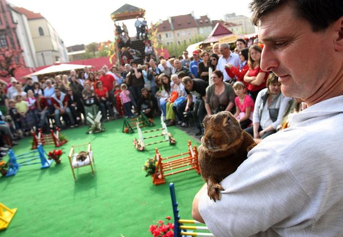 Závodník ve stresu před vypuštěním na překážkovou dráhu. Též publikum je v napětí.