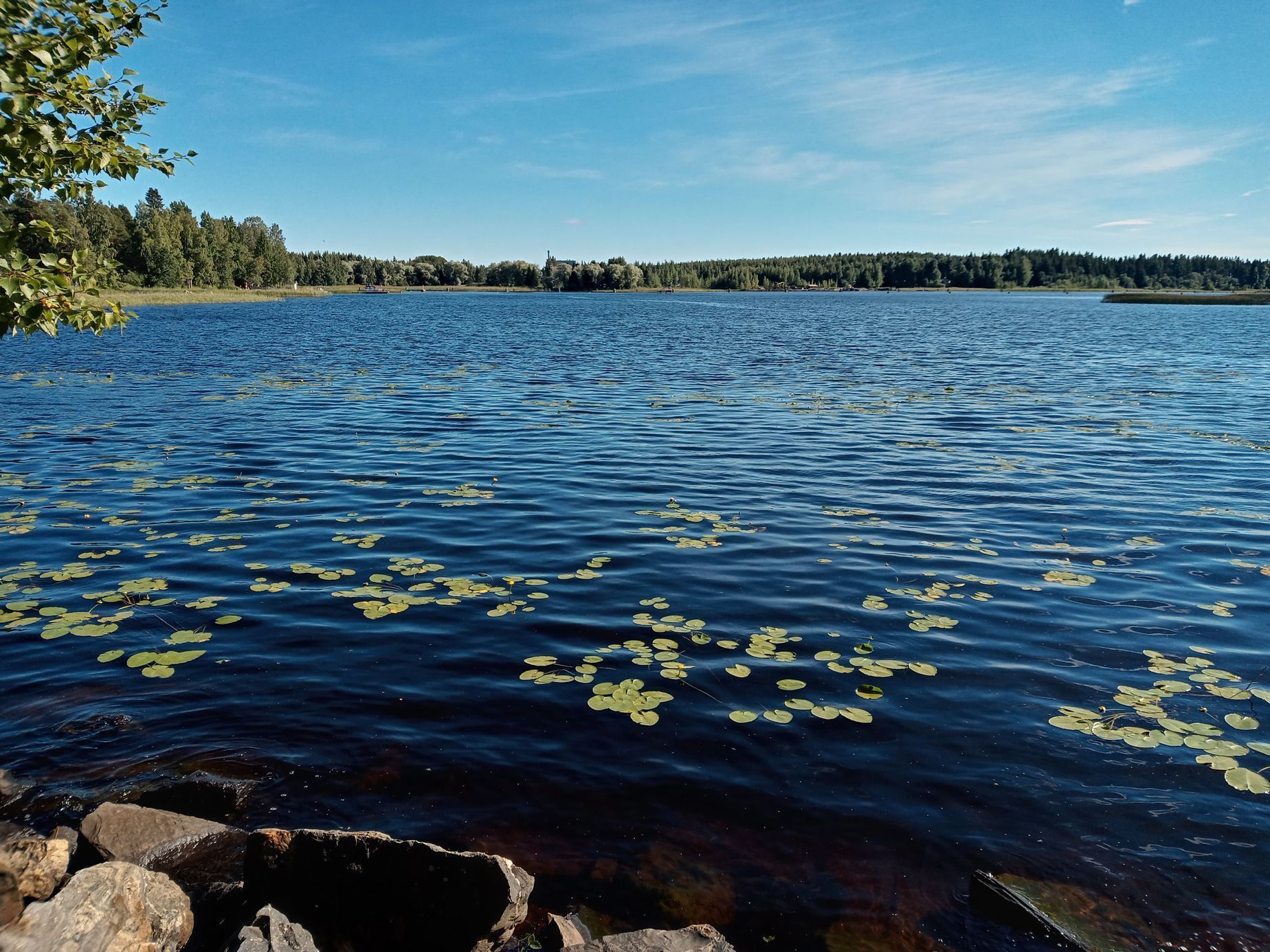 Archiv Michaely Ahonen