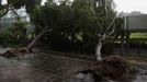 Fallen trees block a road after a typhoon in Hong Kong July 24, 2012. Hong Kong raised its highest tropical cyclone warning on Tuesday as an intensifying severe typhoon edged closer towards the financial hub, grounding flights and forcing the port to close. REUTERS/Bobby Yip (CHINA - Tags: ENVIRONMENT DISASTER) Published: Čec. 24, 2012, 1:07 dop.