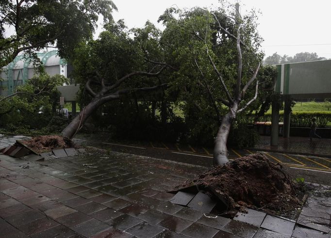 Fallen trees block a road after a typhoon in Hong Kong July 24, 2012. Hong Kong raised its highest tropical cyclone warning on Tuesday as an intensifying severe typhoon edged closer towards the financial hub, grounding flights and forcing the port to close. REUTERS/Bobby Yip (CHINA - Tags: ENVIRONMENT DISASTER) Published: Čec. 24, 2012, 1:07 dop.