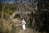 Hisae Unuma mezitím při své návštěvě po deseti letech zašla i na rodinný hrob.