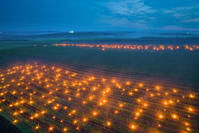 Radek Severa: ohně na vinicích, Jižní Morava, 2024