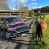 Dodge RAM 1500 Longhorn 2024