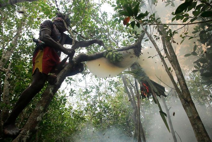 Tradiční sběr medu v mangrovovém lese Sundarbans, zapsaném na seznamu UNESCO, Sathkira, Bangladéš, 2. dubna 2016.