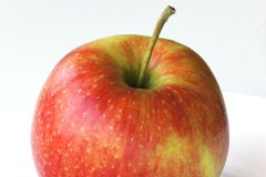 Czech govt sees EU school fruit scheme as waste