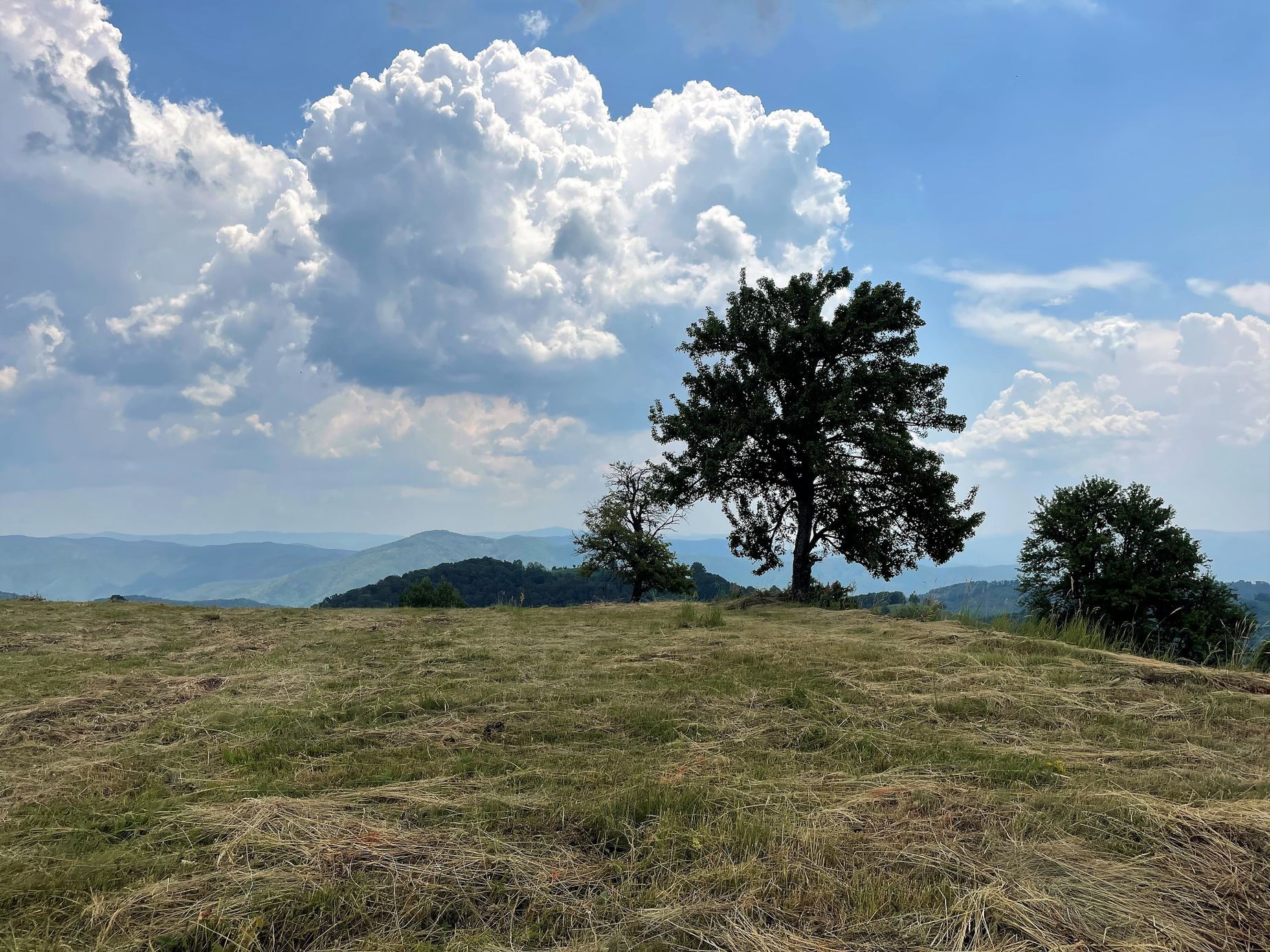 Banát, Rumunsko, Češi, krajané