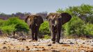 Jaroslav Hora, vítěz soutěže Travel Photographer of the Year: Namibie