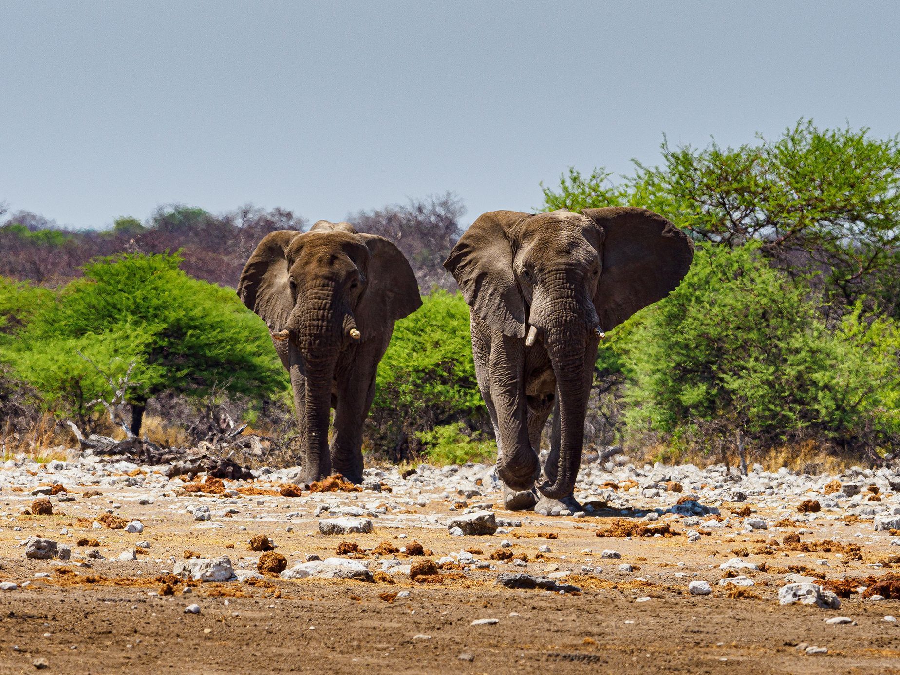 Jaroslav Hora, vítěz soutěže Travel Photographer of the Year: Namibie
