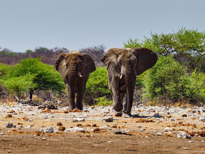 Jaroslav Hora, vítěz soutěže Travel Photographer of the Year: Namibie