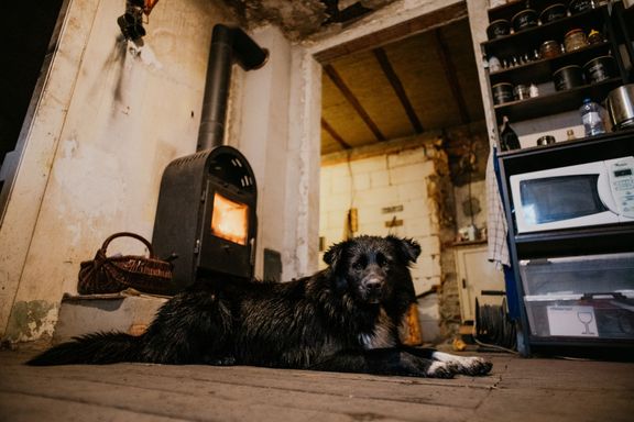 Dog friendly office je na Kotlasce samozřejmostí stejně jako nejlepší turecká káva široko daleko.