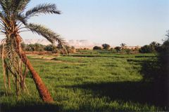 Sahara bude zelená, slibuje Egypt