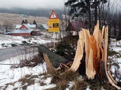 Vichřice, která se přehnala ve čtvrtek v noci přes Českou republiku, velice poškodila lesy v Krkonošském národním parku.