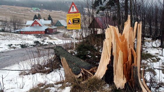 Kalamita v Krkonoších: sčítání škod