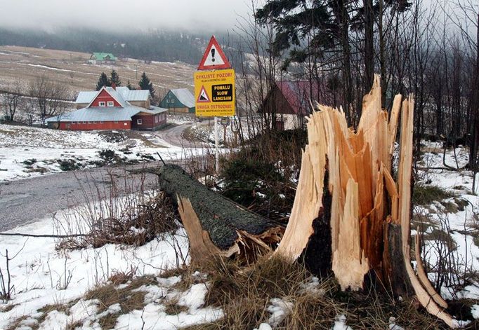 Vichřice, která se přehnala ve čtvrtek v noci přes Českou republiku, velice poškodila lesy v Krkonošském národním parku.