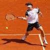 David Ferrer ve 3. kole French Open 2012