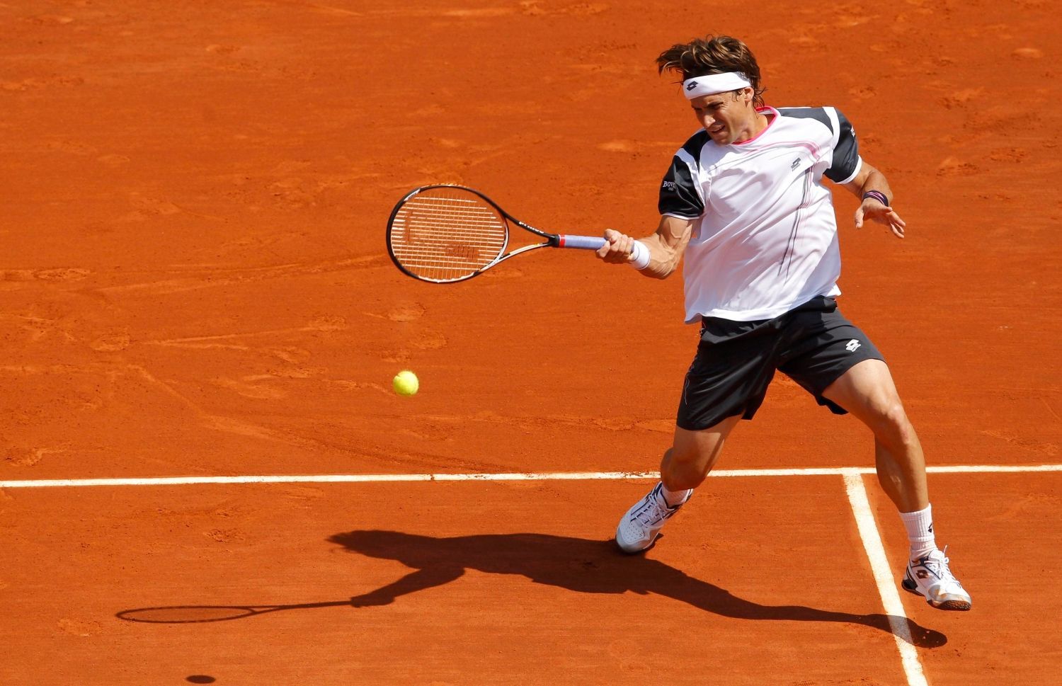 David Ferrer ve 3. kole French Open 2012