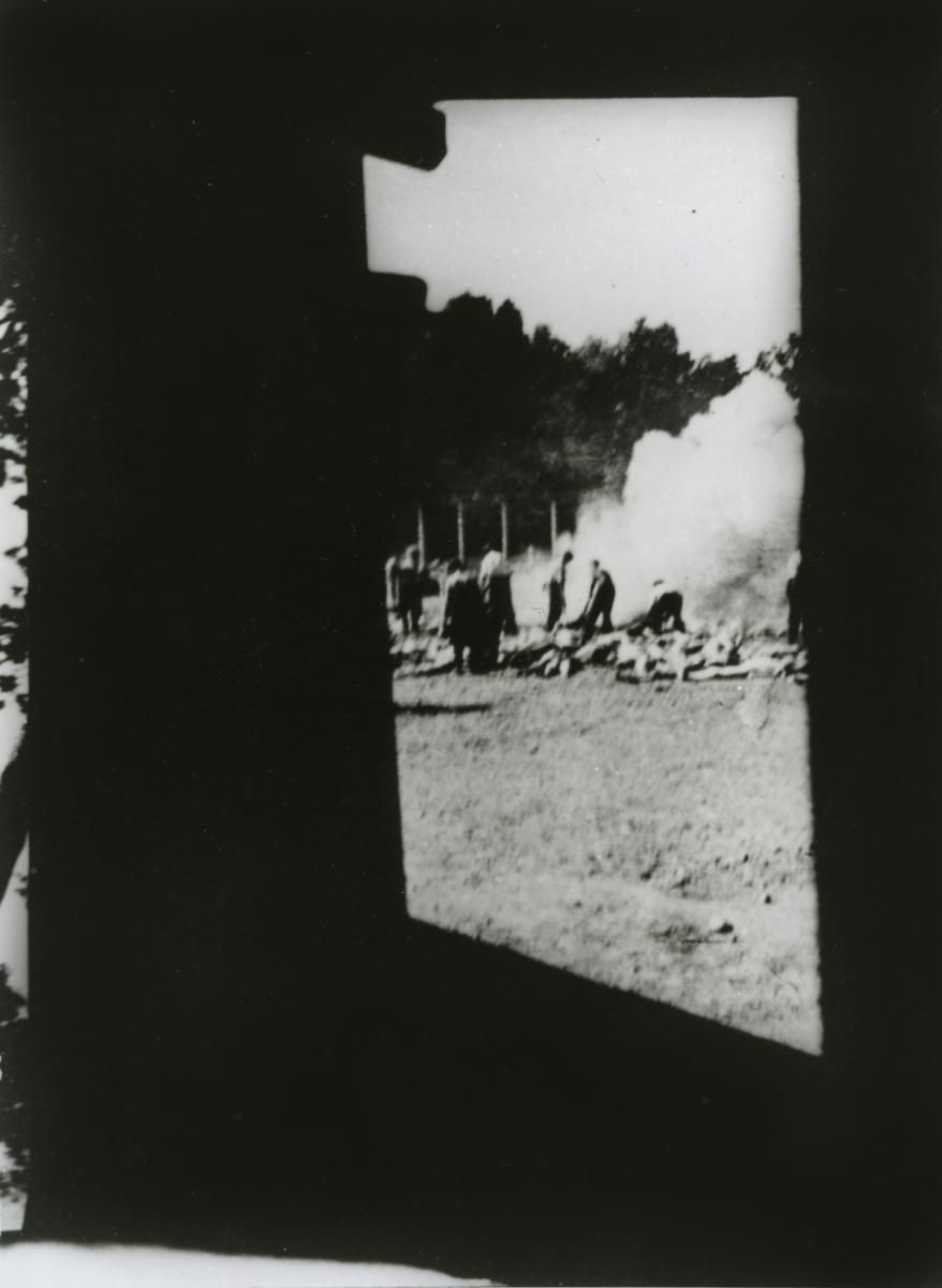 Auschwitz, fotografie sonderkommanda č. 281