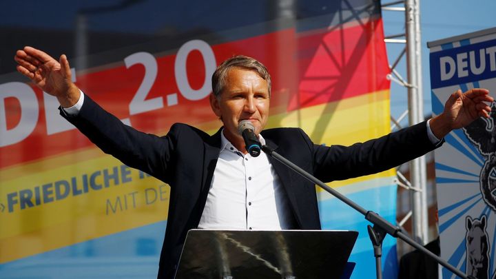 Německá kontrarozvědka sleduje celou AfD. Podezírá stranu z pravicového extremismu