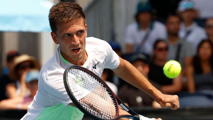 Nechtěný Kopřiva místo Davis Cupu vyhrál turnaj. Nominaci jsem respektoval, říká; Zdroj foto: Reuters