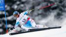 MS ve sjezdovém lyžování 2013, super-G muži: Georg Streitberger