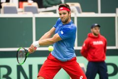 Zraněný Veselý bude hrát čtyřhru Davis Cupu. Nastoupí s Rosolem