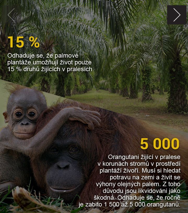 Palmový olej - obrázky do grafiky