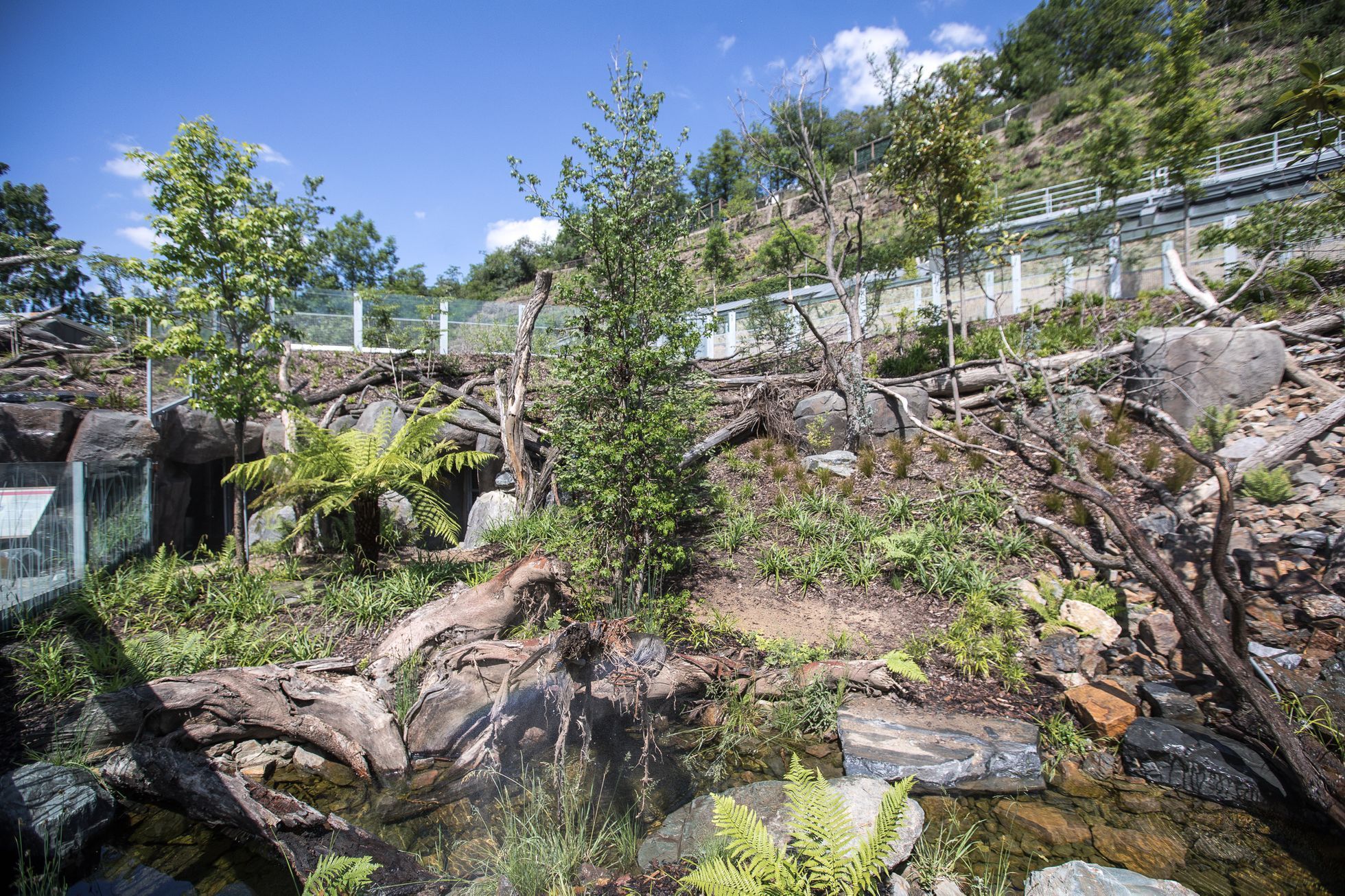 Tasmánští čerti v pražské zoo - nový pavilon Darwinův kráter