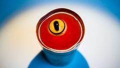 Šťáva z ovčích očí, Mongolsko, gastronomie, Magazín