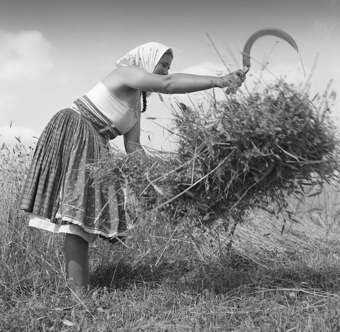 Ferdinand Bučina - fotografie