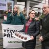 Greenpeace protest před Ministerstvem životního prostředí proti kácení lesů
