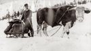 Život v horách během zimy, pravděpodobně v okolí Dvořaček. Historická fotografie, nedatováno.