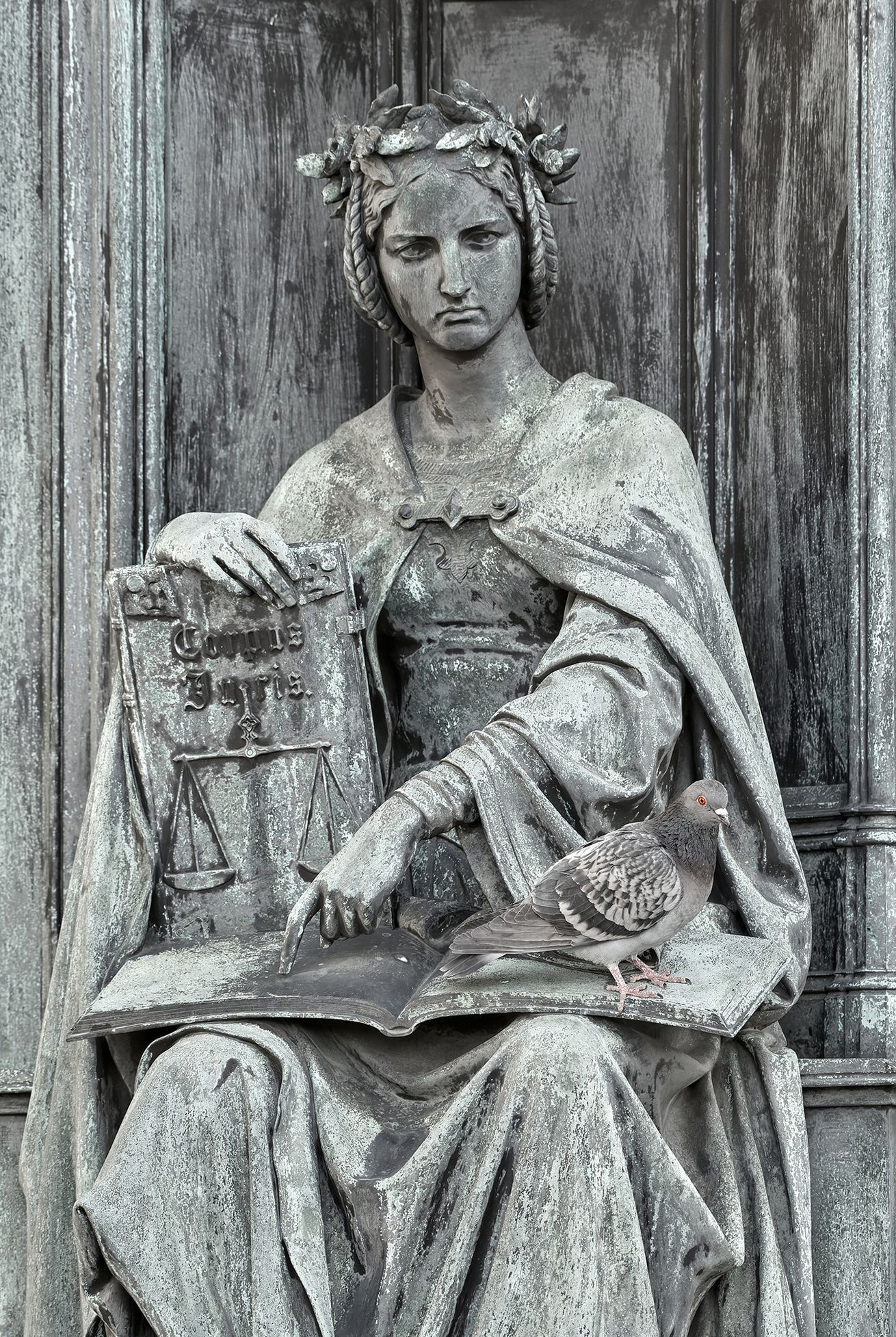 Czech Nature Photo 2023 - nominace