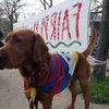 Olympic boycott in Prague