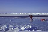 Arktida. "Michajl Malachov nám ukazuje, jak překonávat měkký led." Malachov je známý ruský polárník, jenž vedl na severní pól několik expedic.