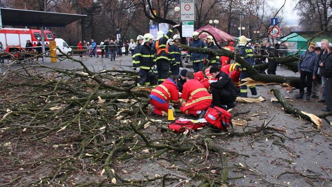 Strom ve Zlíně spadl na lidi. Snímek hasičů z 22. ledna.